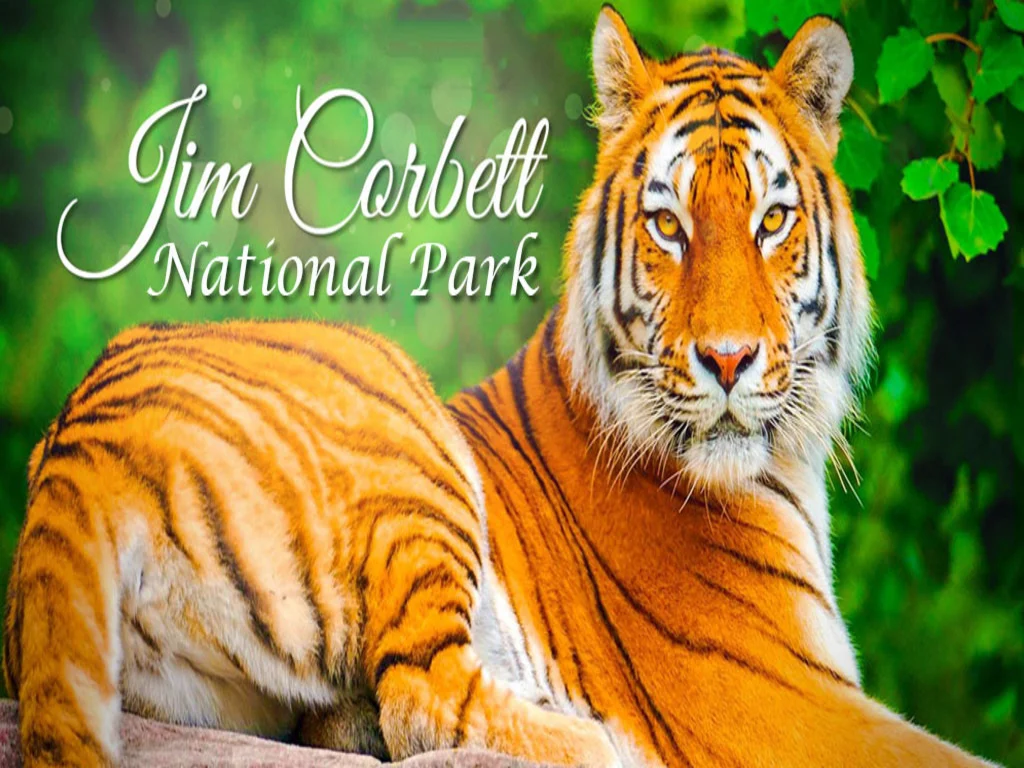 Jim corbet national park