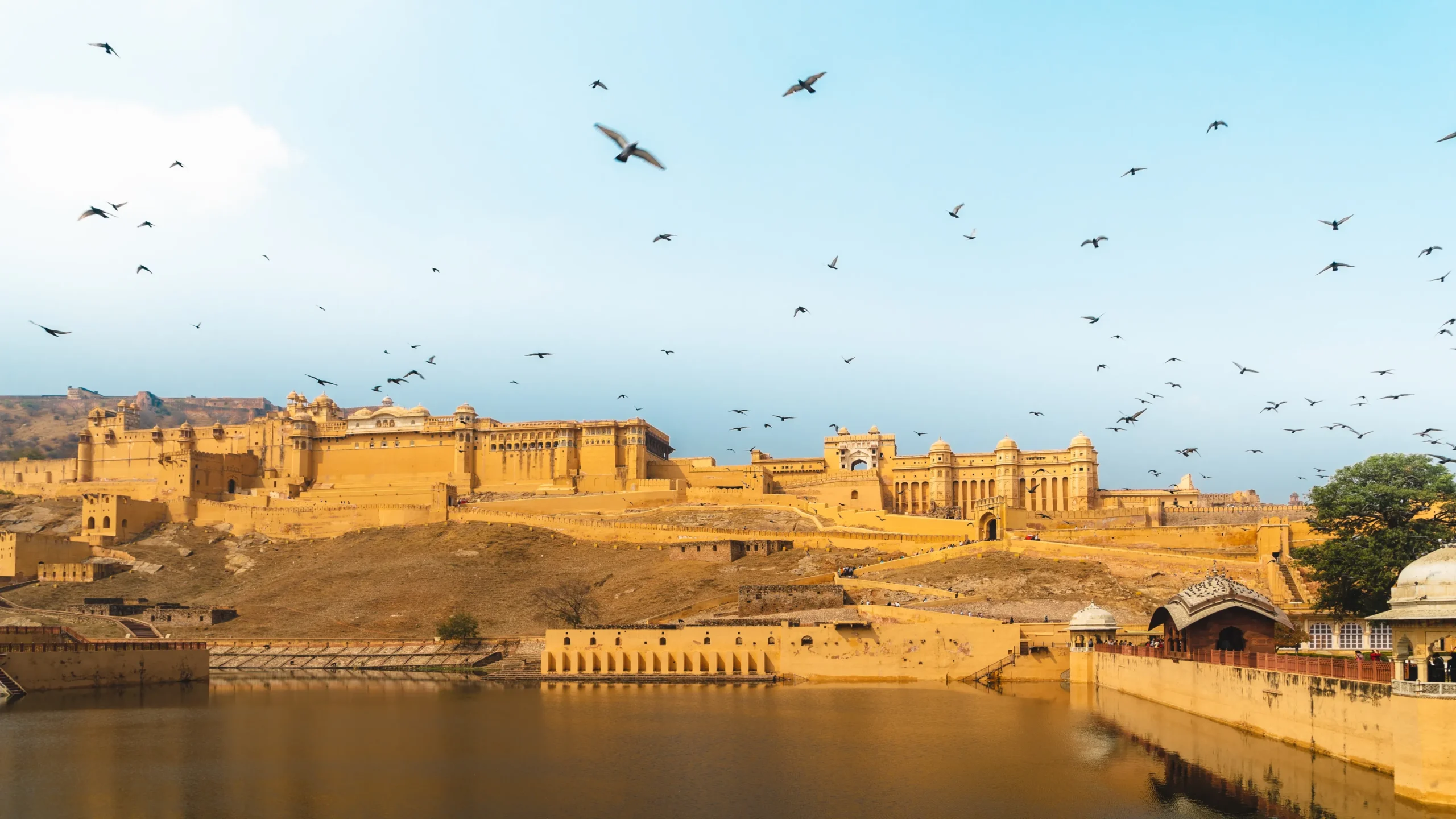 exploring royal rajasthan